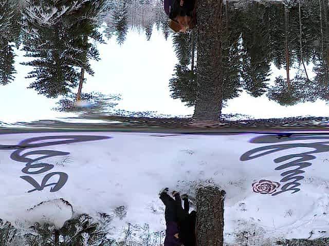 Sex in the winter forest during the time that the snow is falling - RosenlundX - VR 360 - 5,7k 30fps