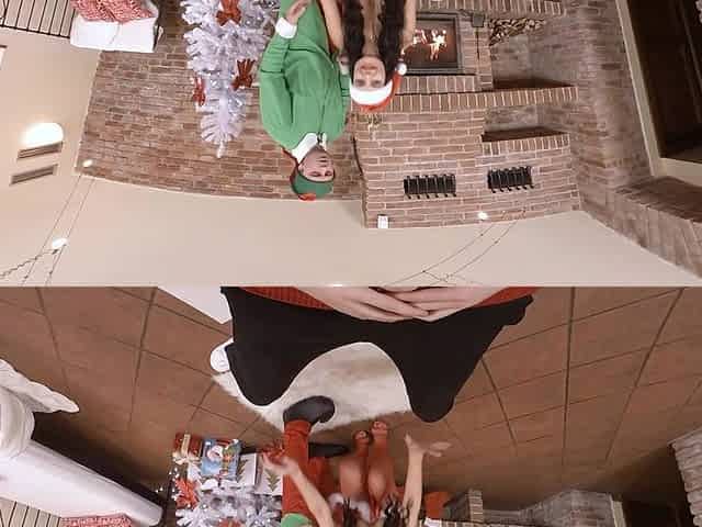 Dear Santa! I Badly Need a Stepmom!