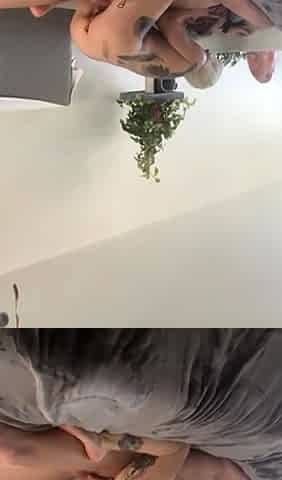 Blowjob Close Up No Hands Cumshot