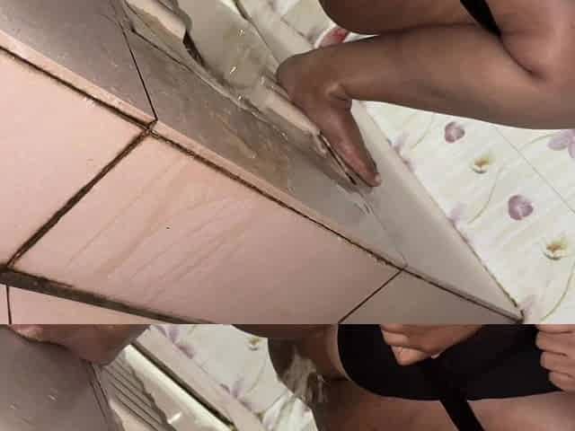Stepmom Pee in Toilet After Sex with Stepson