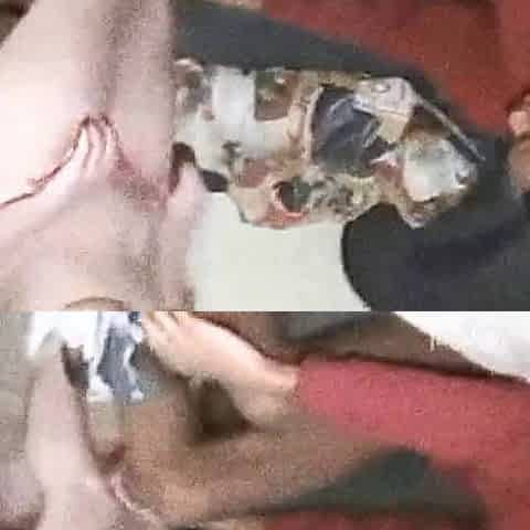 BLACK COCK! WHITE WIFE!
