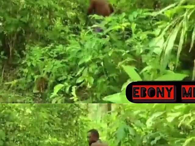 Collage cutie went for research in the bush end up screwed