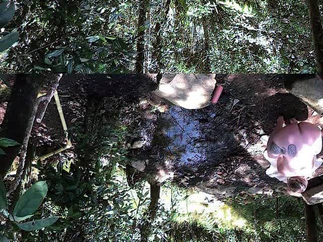 11 INCH BBC PAWG OUTDOOR SUCK & BANG - @elKonguito & @sweetauroramae