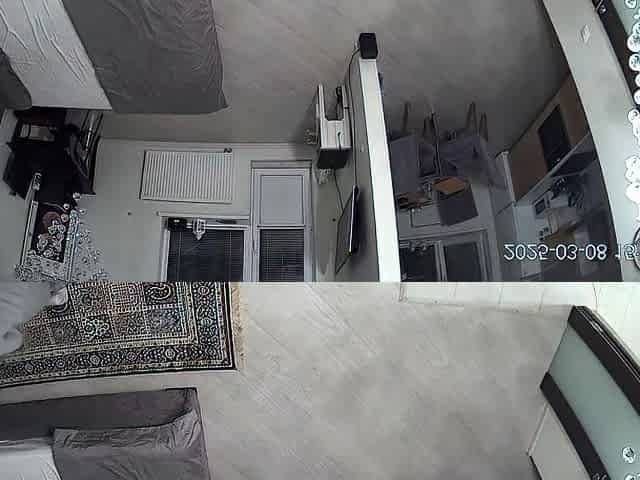 Ma chienne french amateur couple hidden cam 1