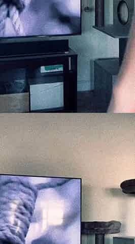 Brunette Solo Webcam Masturbation