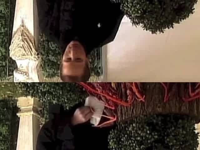 Blow Job at the Wedding Party