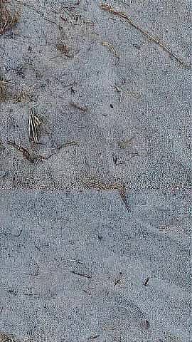 Beach Pissing