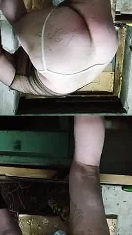 Homo amateur porn