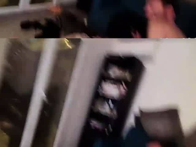 Two French sluts suck cocks and take hard doggy pounding liv