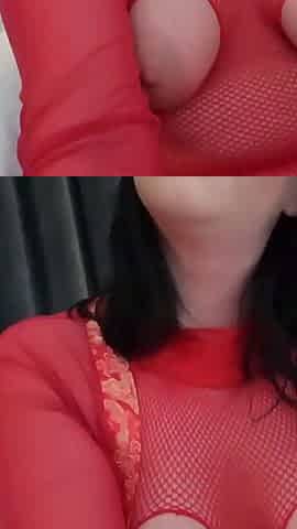 British Sophia Swallows