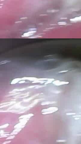 Impregnation Fantasy Cam