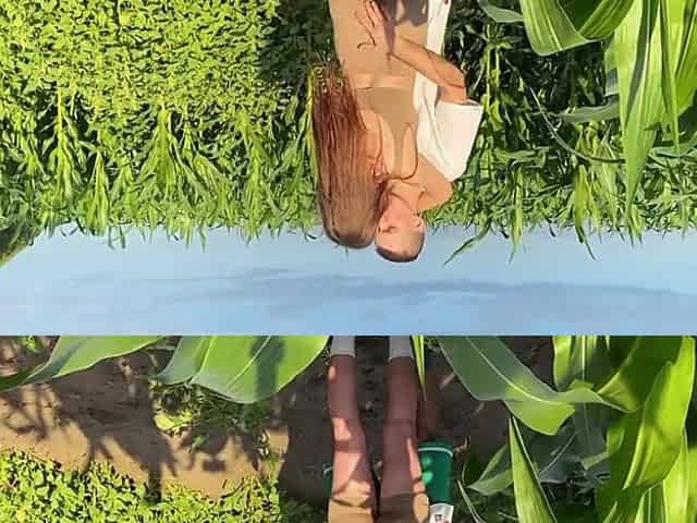 Hard roughly screwed a hawt cute multiorgasmic sweetheart in public on a corn field