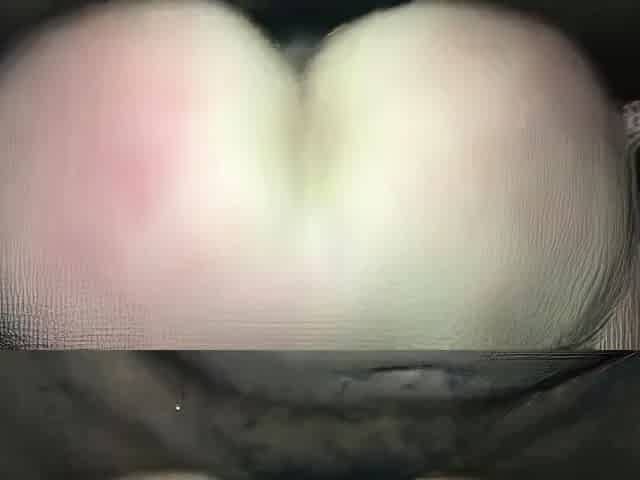 Cowgirl PAWG Milf Rides BBC