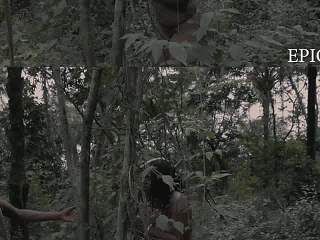Banging u in the bush has always been my fantasy