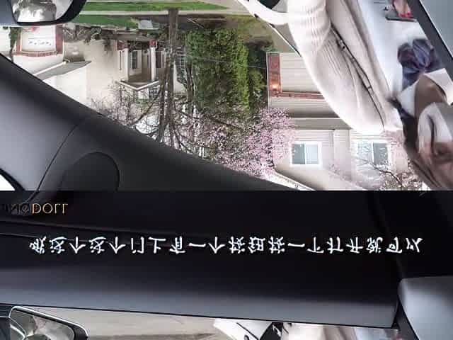 Cherry Blossom And Hong Kong Doll In Sweet Chinese Escort 2 Love Story Under The Trees