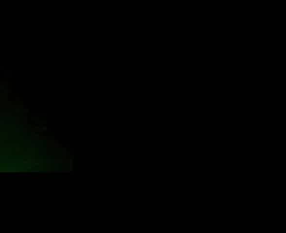 Japanese Couple's Private Blowjob Session
