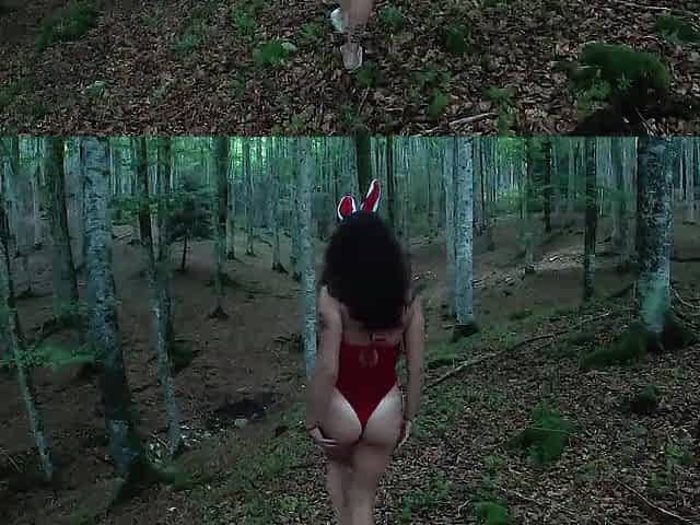 I walk throughout the woods in my hot bunny costume