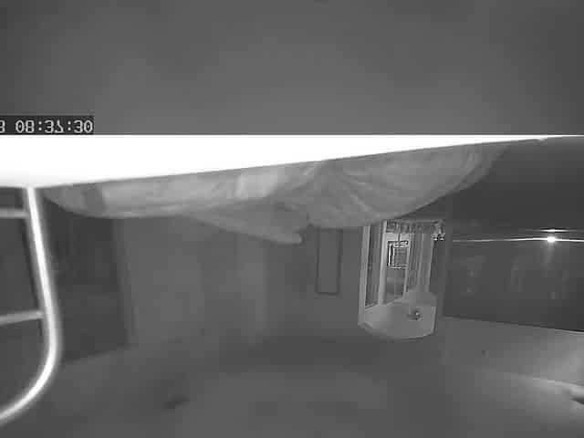 Mom with Very Loud Orgasm