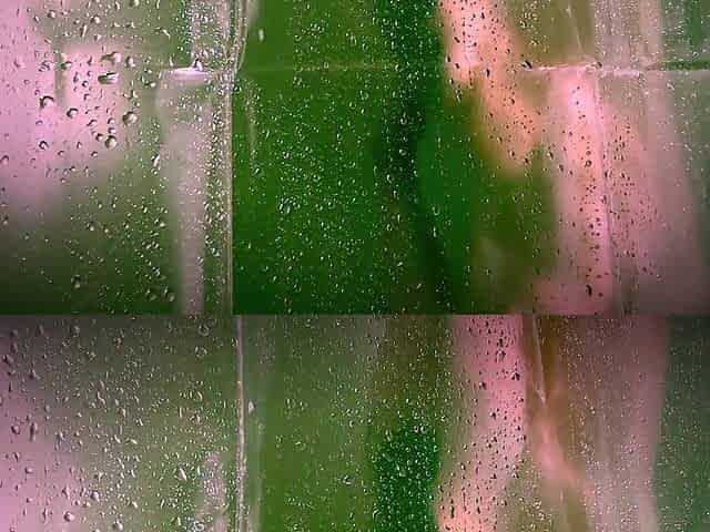 Cheerful Gender Equality month! Check out this sexy af milfy vulva-owner getting off in the shower
