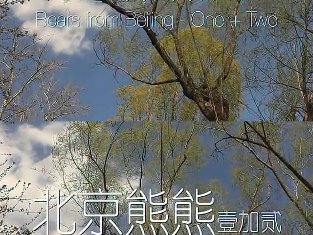 Chinese Bears