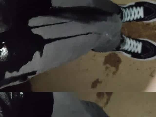 Pissing Slim Jeans and Brand Fresh Vans Sk8 Sneakers
