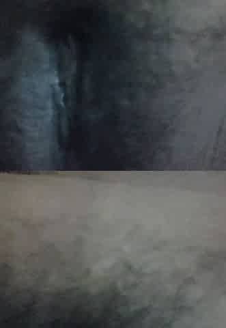 Desi Pussy