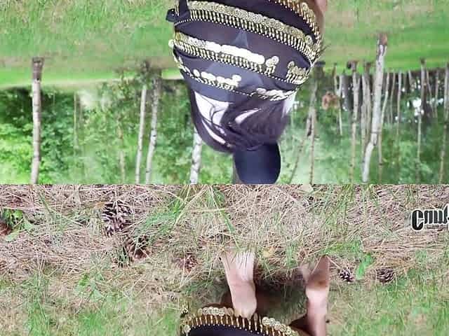 Forrest Booty