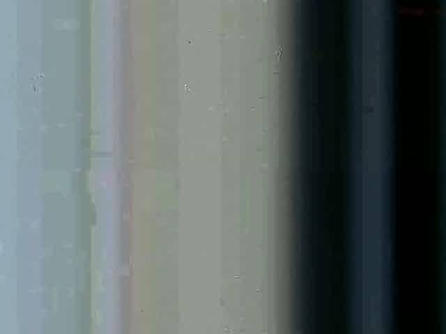 Amateur girlfriend blowjob on webcam