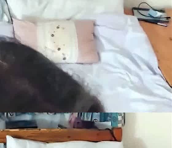British Amateur Webcam Couple Cumshot