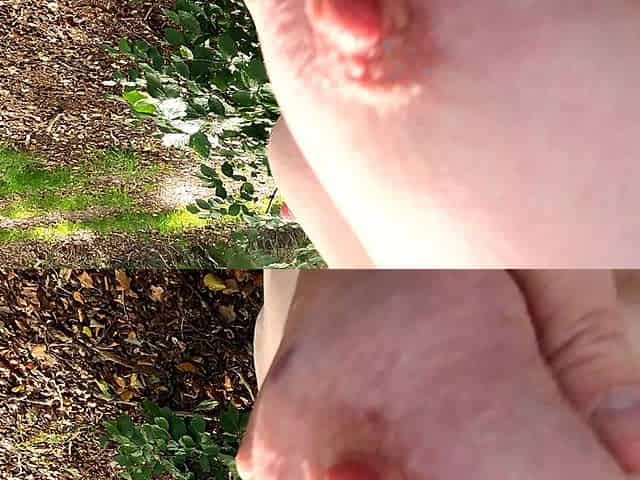 Lift Your Shirt I Wanna Beat Your Tits