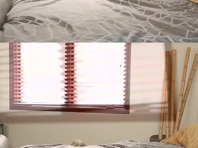 Lesbian sex with Ariana Marie and Samantha Hayes