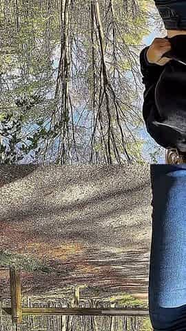 I Finger My Ass in the Forest and Squirt