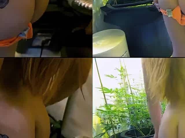 @Arisugar helps u grow! Behind the scenes cannabis tent photo shoot