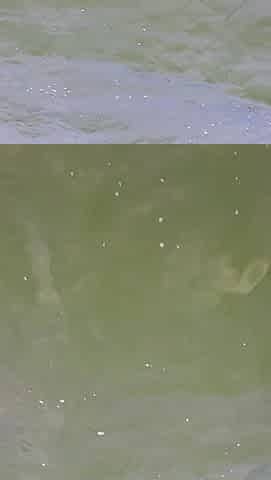Surfer Angel show my Vagina on the public beach