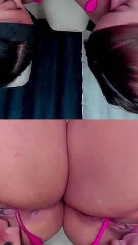 Wet Pussies and Moans Game