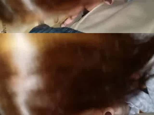 only-blowjob-