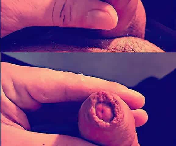 Likewise lewd anew - edging, precum and ruined climax