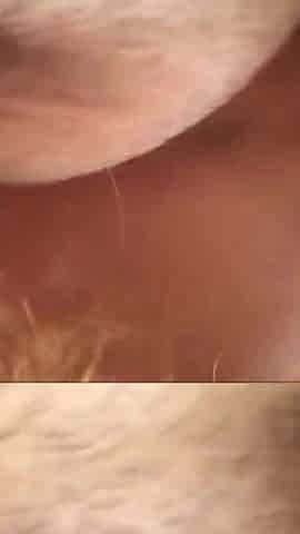 Sexy blonde with glasses sucks his dick in close up