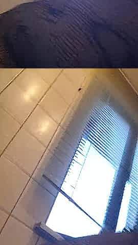 Anal steching and cum drinking