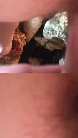 Risky Fucking Compilation of Hairy Teens 18