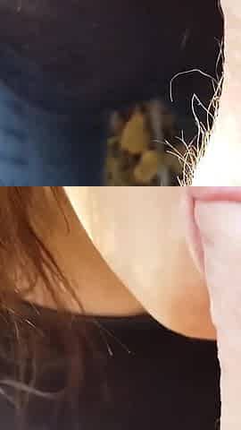 18 Old Year Brunette Gives a Blowjob and Swallows Cum in Park