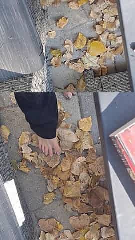 Sexy Bare Feet Crunching Dry Leaves