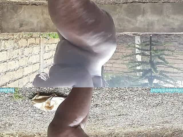 The Ass Dominator decides to showcase her exquisite body of by fetishfreaksafrica