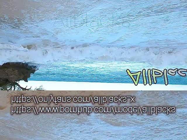 Step Sis Step Bro Raw Oral At A Public Beach