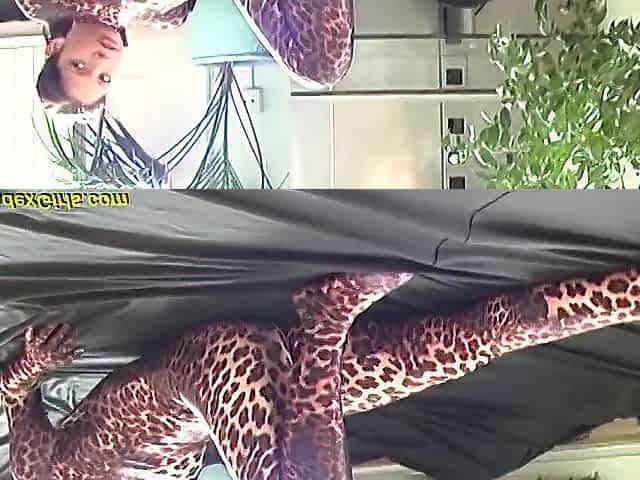 Tiger Spandex Susi