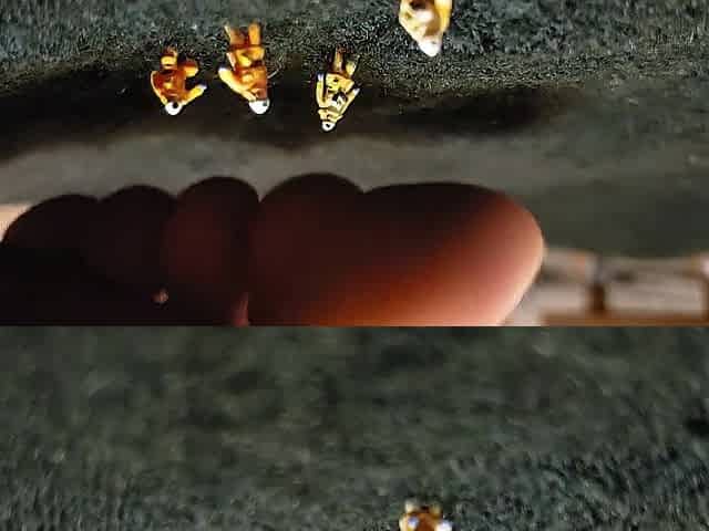 Smothering Shrunk People Underneath Toes