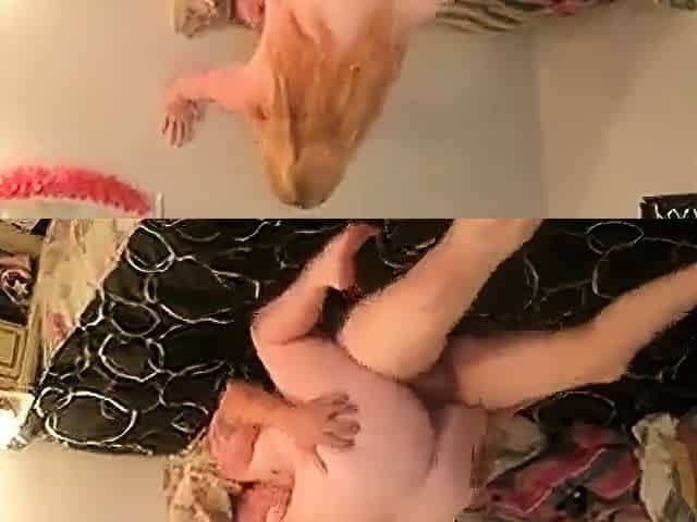 Close-up Webcam Sex with Father-in-Law