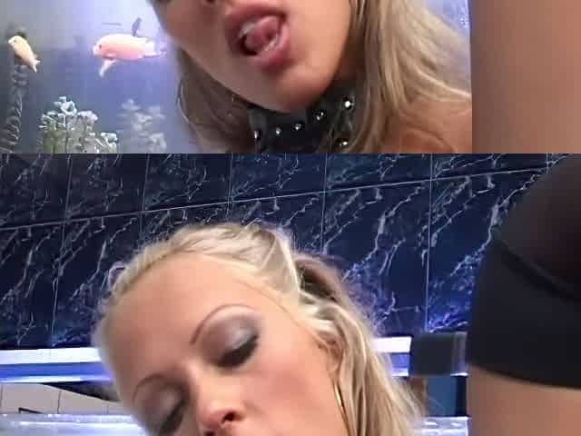 Only Anal Fuck For With Cumshot In Mouth - Cony Ferrara And Antonio Ross