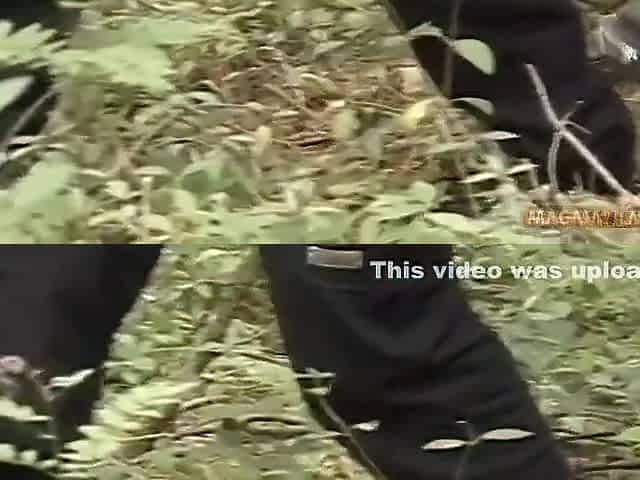 Double Penetration In The Forest