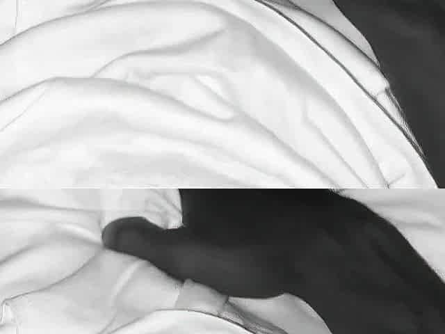 Listening to Lewd Roommates Fucking Midnight - Turn me on edging